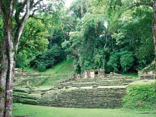 La selva tropical perennifolia y los mayas